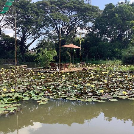 Saikaew Resort Čiang Rai Exteriér fotografie