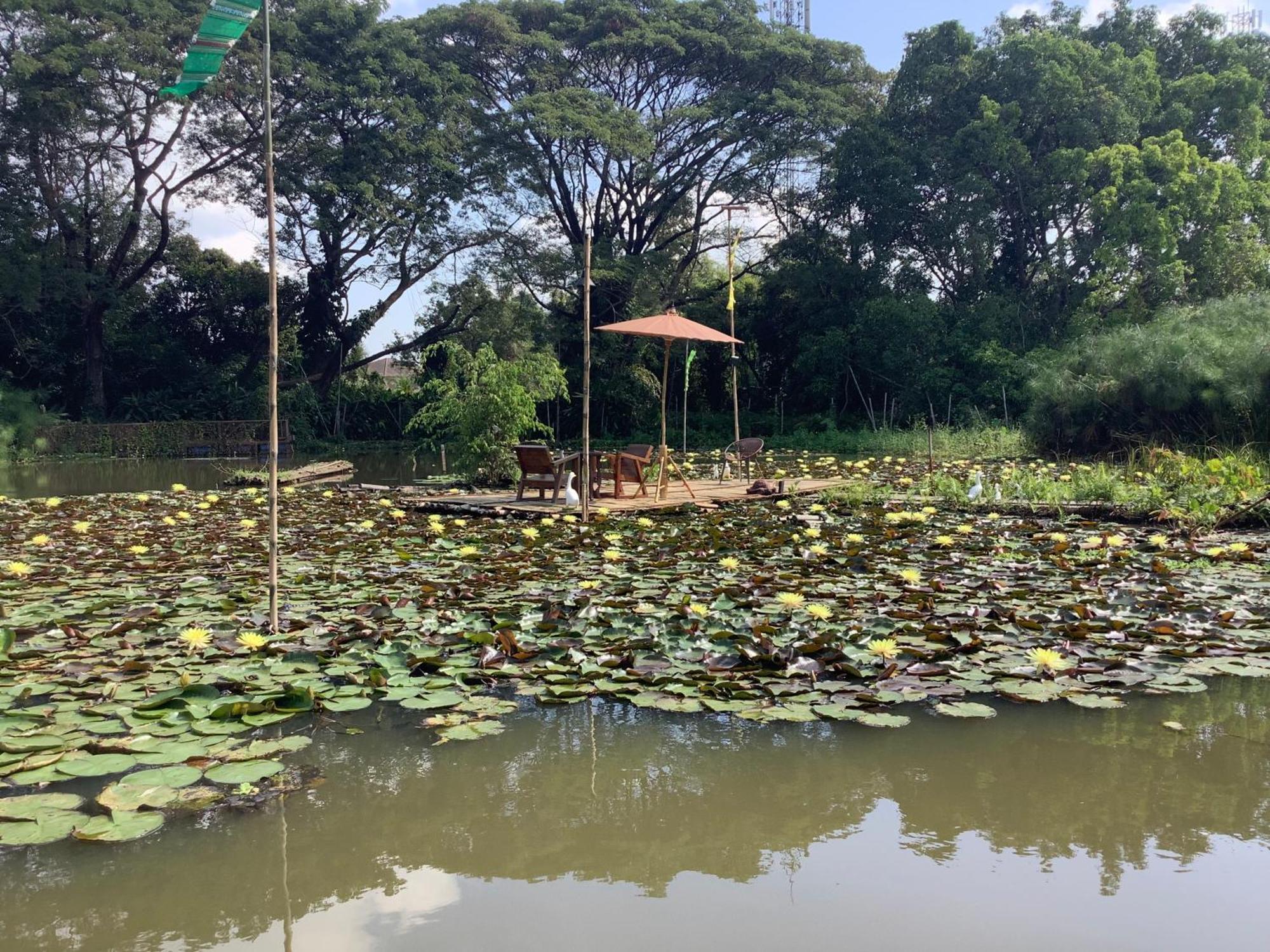 Saikaew Resort Čiang Rai Exteriér fotografie