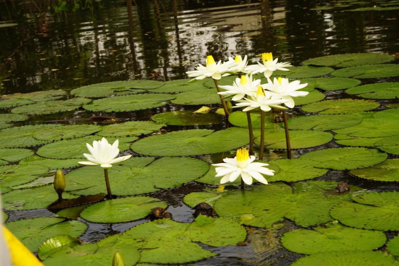 Saikaew Resort Čiang Rai Exteriér fotografie