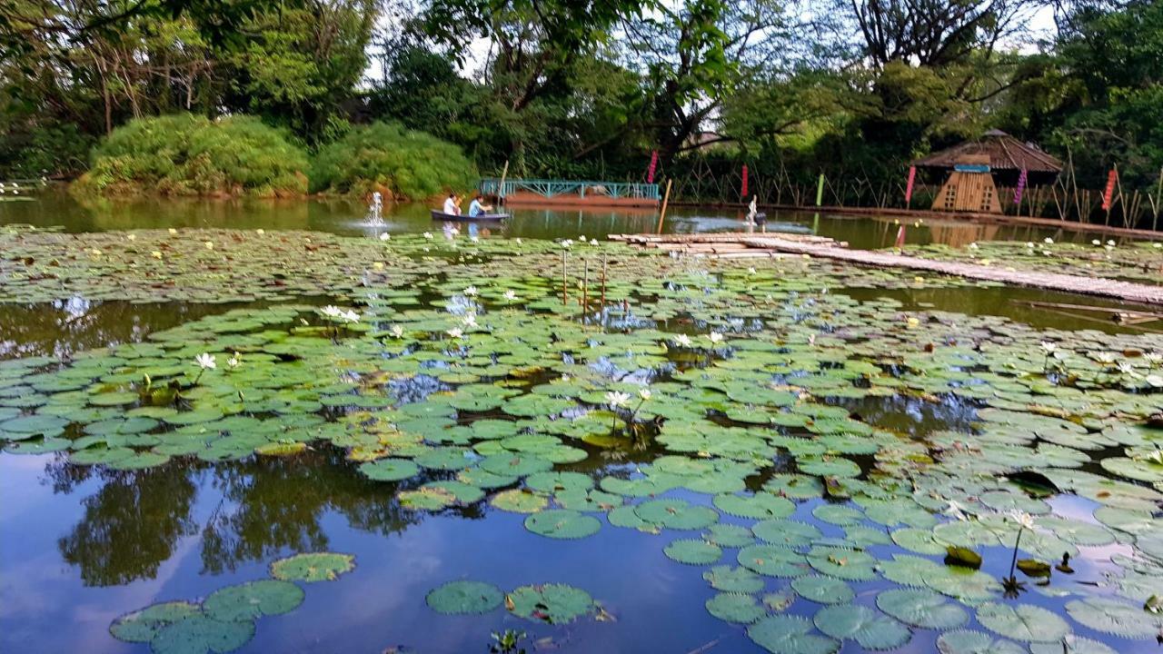Saikaew Resort Čiang Rai Exteriér fotografie