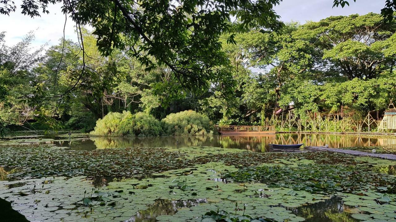 Saikaew Resort Čiang Rai Exteriér fotografie